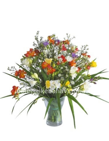 Bouquet di fresie assortite.