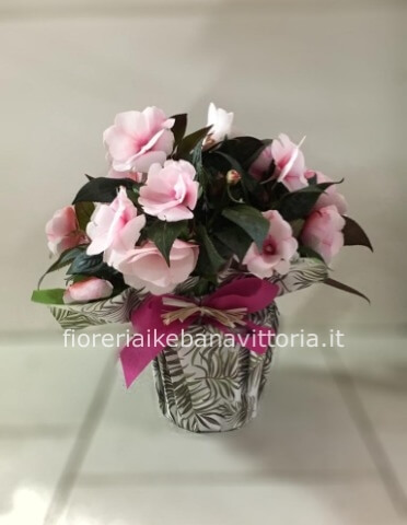 IMPATIENT IN CONFEZIONE REGALO