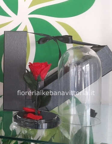 rose rosse stabilizzate