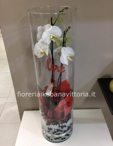 Orchidea in diversi colori in vaso vetro