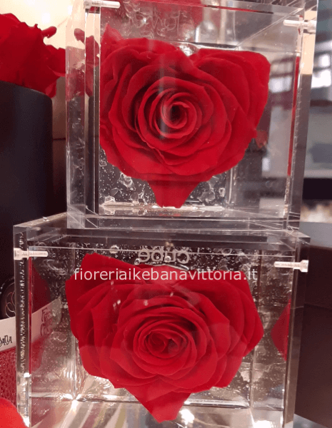 Rose  stabilizzate