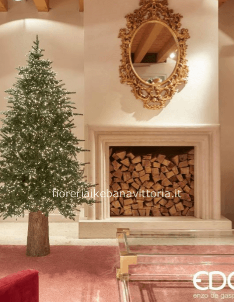 EDG  Enzo De Gasperi Pino Spark 