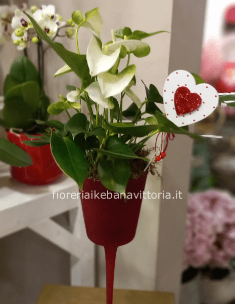 Pianta di anthurium con bicchiere