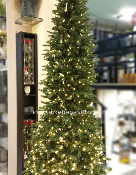 EDG Enzo De Gasperi Pino Slim