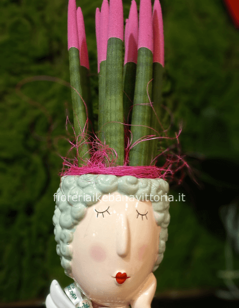 Vaso faccia con pianta