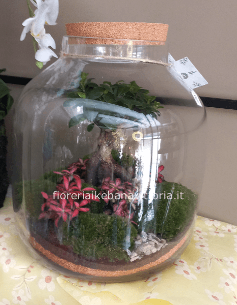 Terrarium