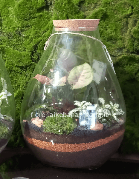 Terrarium