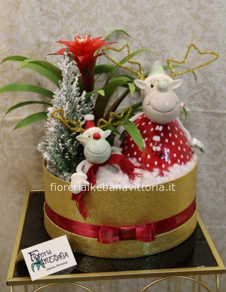 box personaggi natalizi 