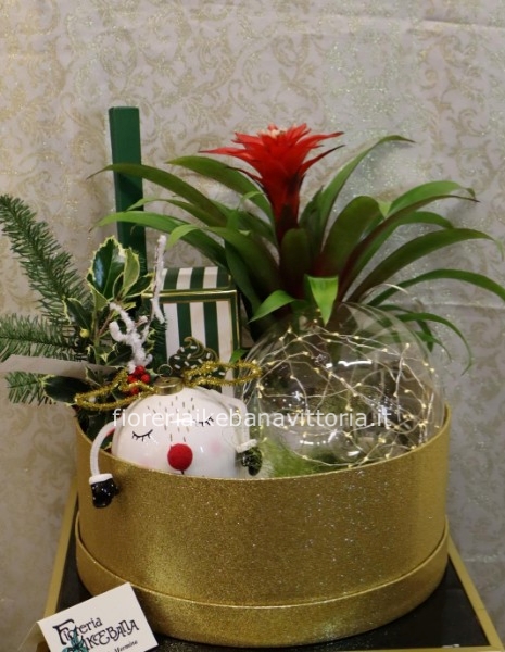 box con addobbi natalizi