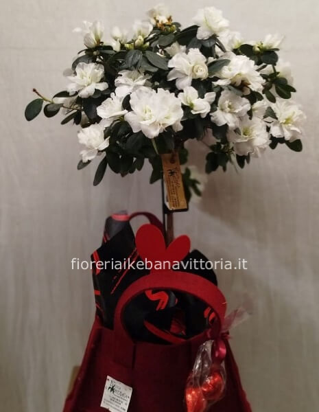 Shopping bag con pianta di azalea