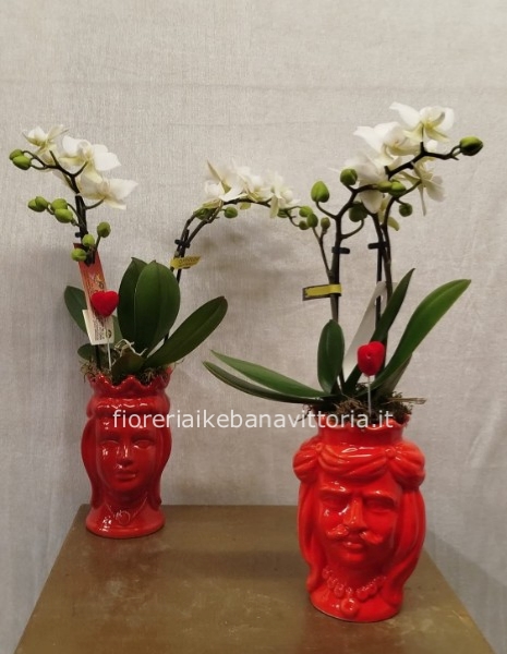 Composizione di piante di mini orchidee su vaso testa di moro