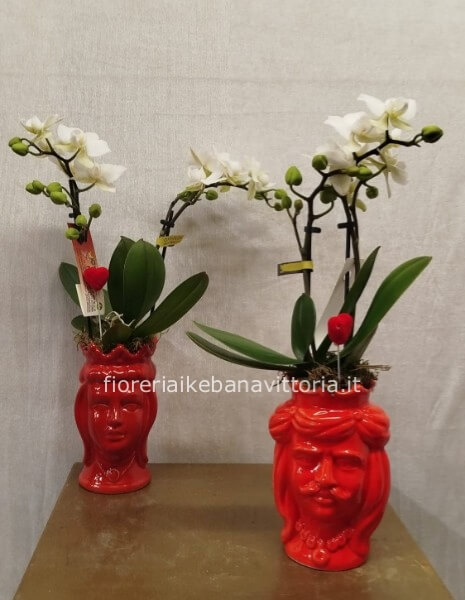 Composizione di piante di mini orchidee su vaso testa di moro